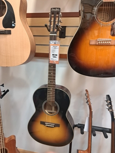 Simon and Patrick Woodland Pro Folk